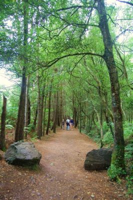  ¿Jack del Bosque de Broceliande: Un Héroe Deformedo o Una Fábula Sobre la Superación?